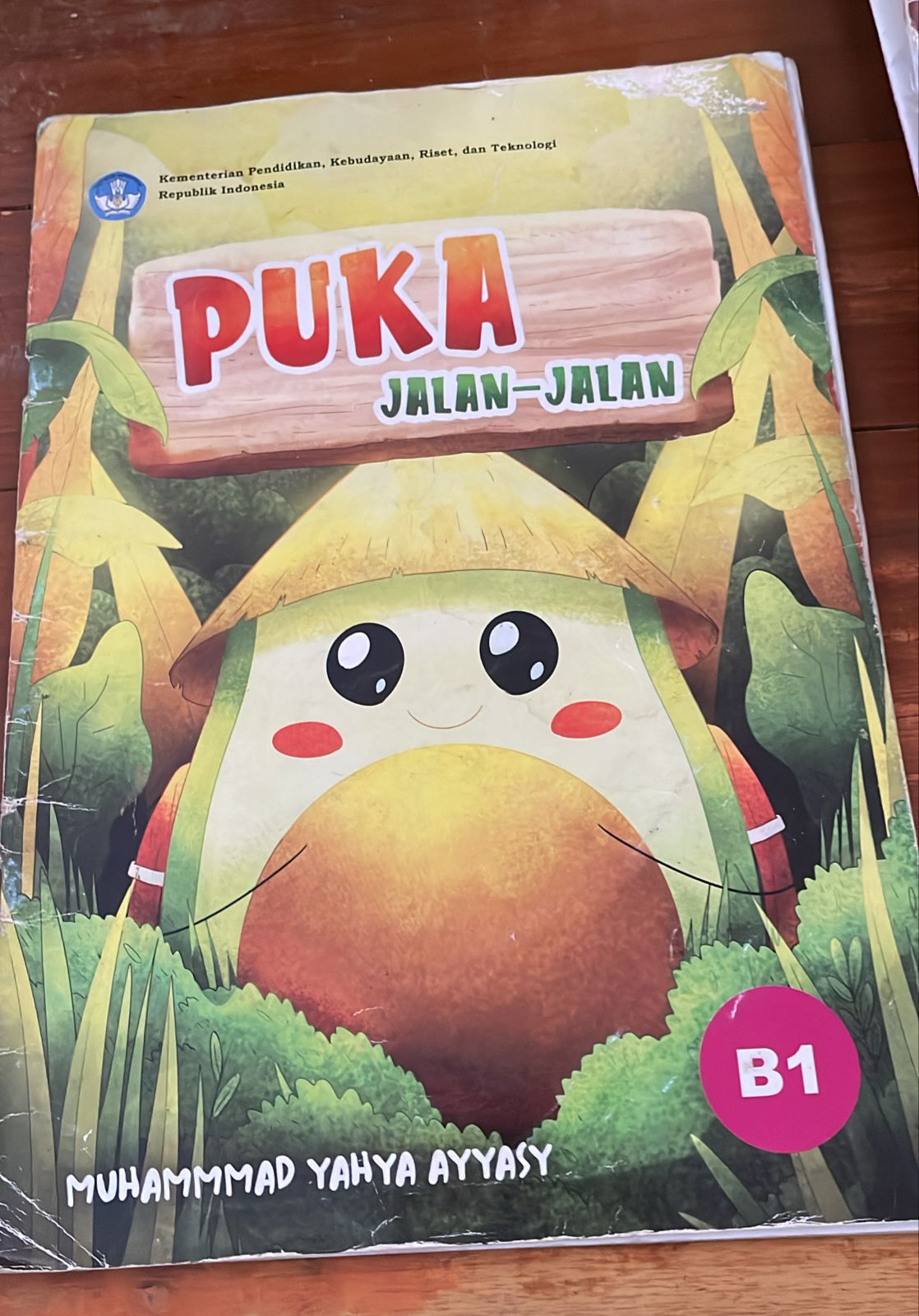 Sampul PUKA JALAN-JALAN