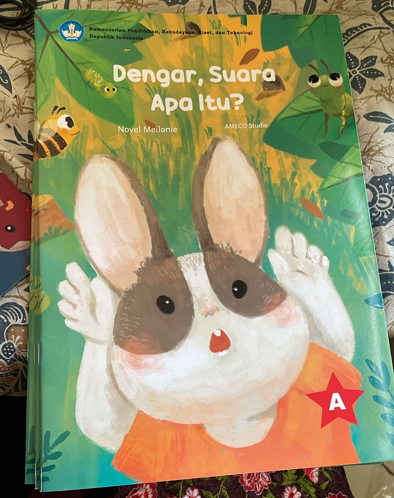 Sampul Dengar, Suara Apa Itu