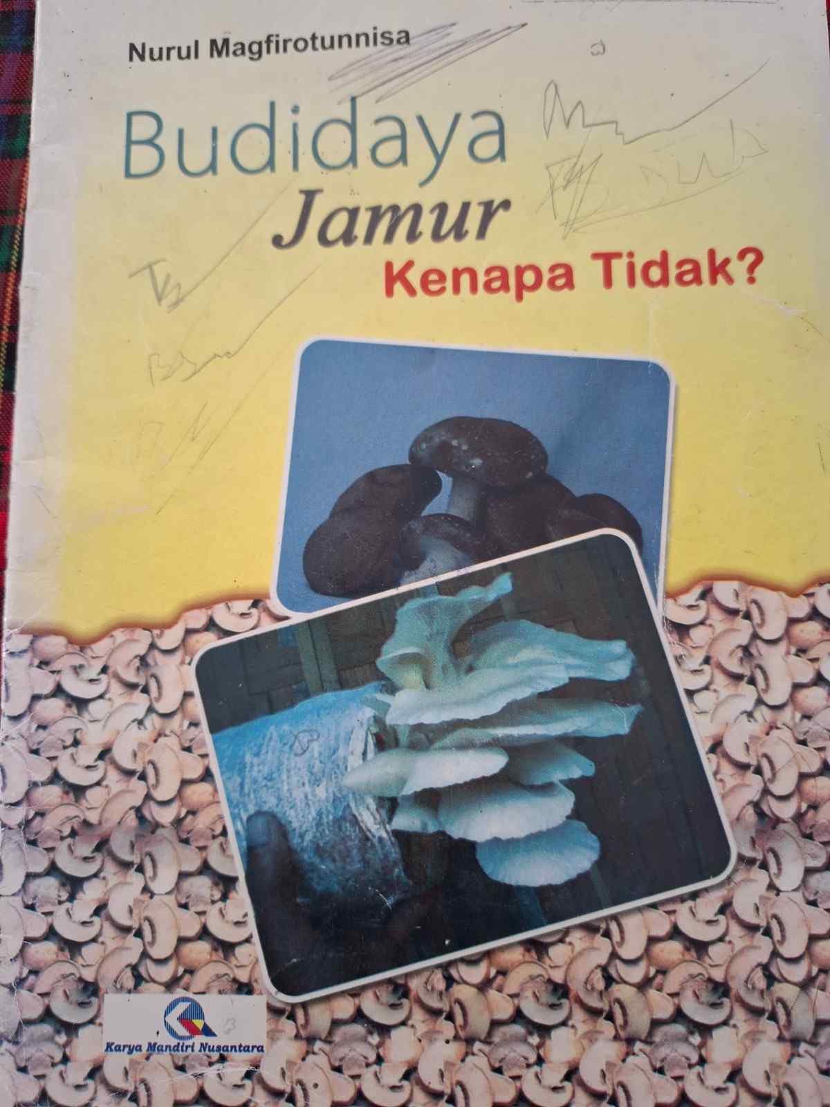 Sampul Budidaya Jamur Kenapa Tidak?
