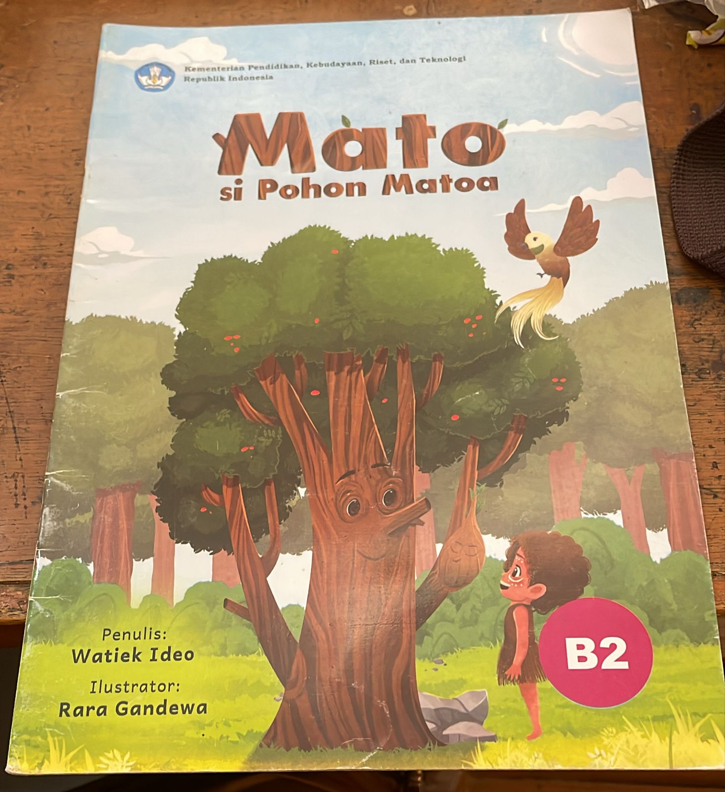 Sampul Mato Si Pohon Matoa
