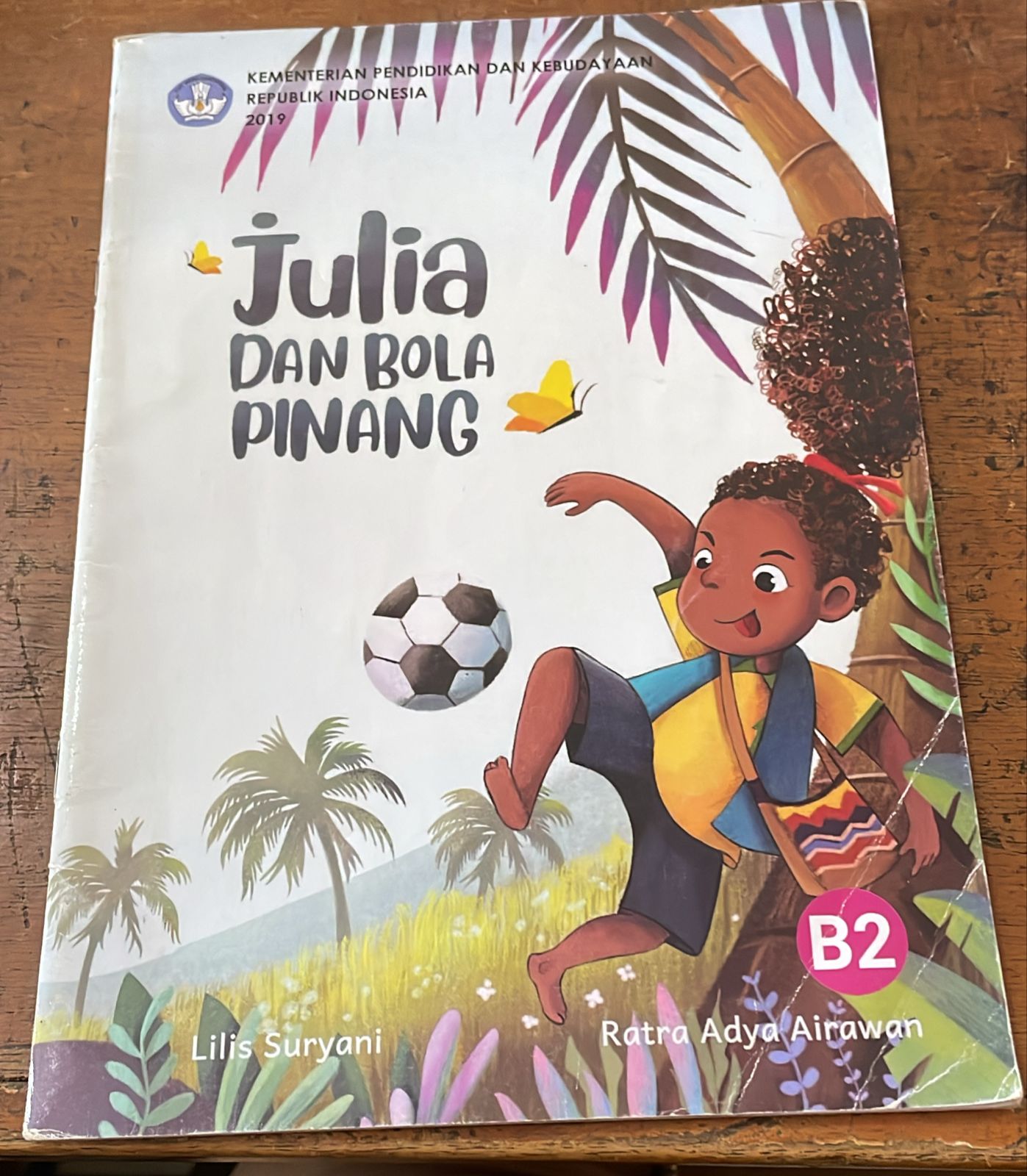 Sampul Julia Dan Bola Pinang
