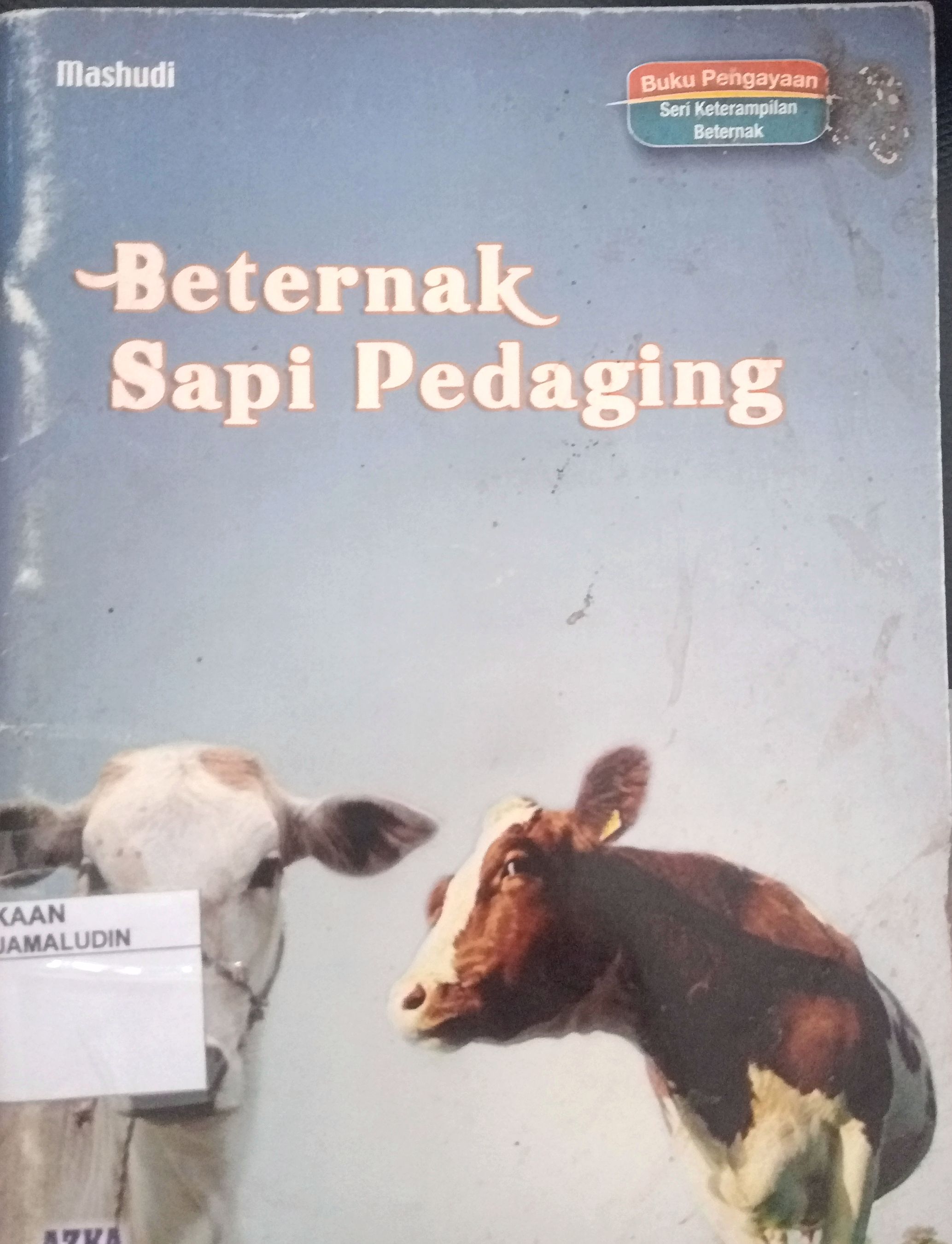 Sampul Beternak Sapi Pedagang