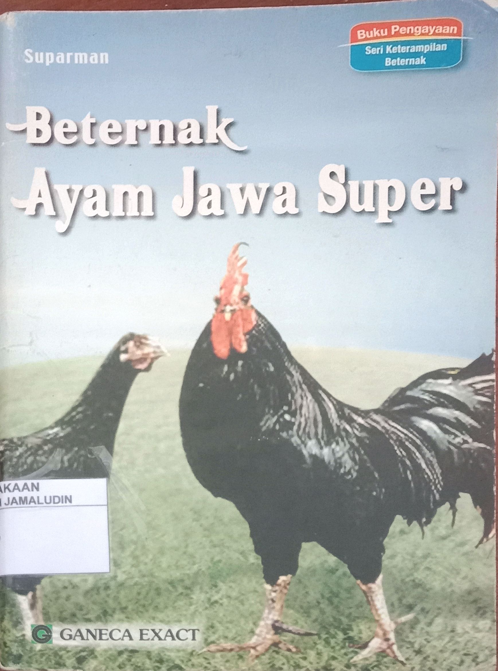 Sampul Beternak Ayam Jawa Suoer