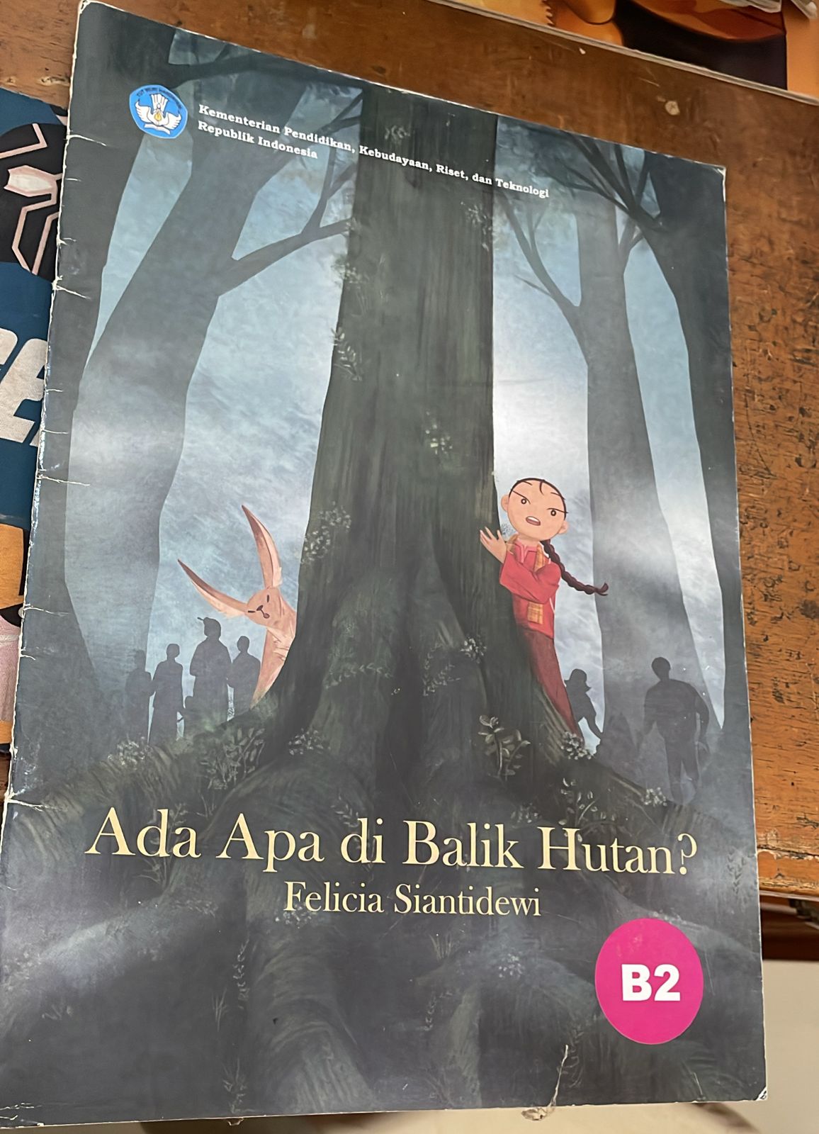 Sampul Ada Apa di Balik Hutan?