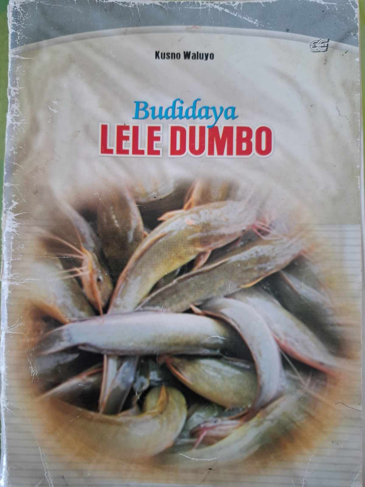 Sampul Budidaya Lele Dumbo