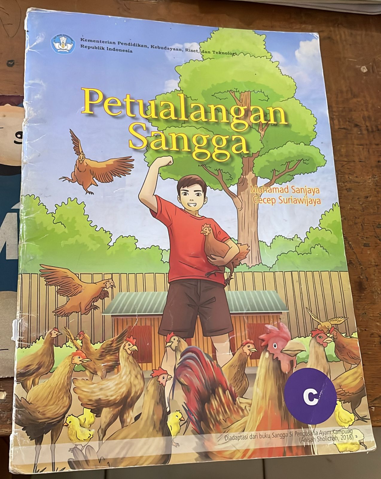 Sampul Petualangan Sangga