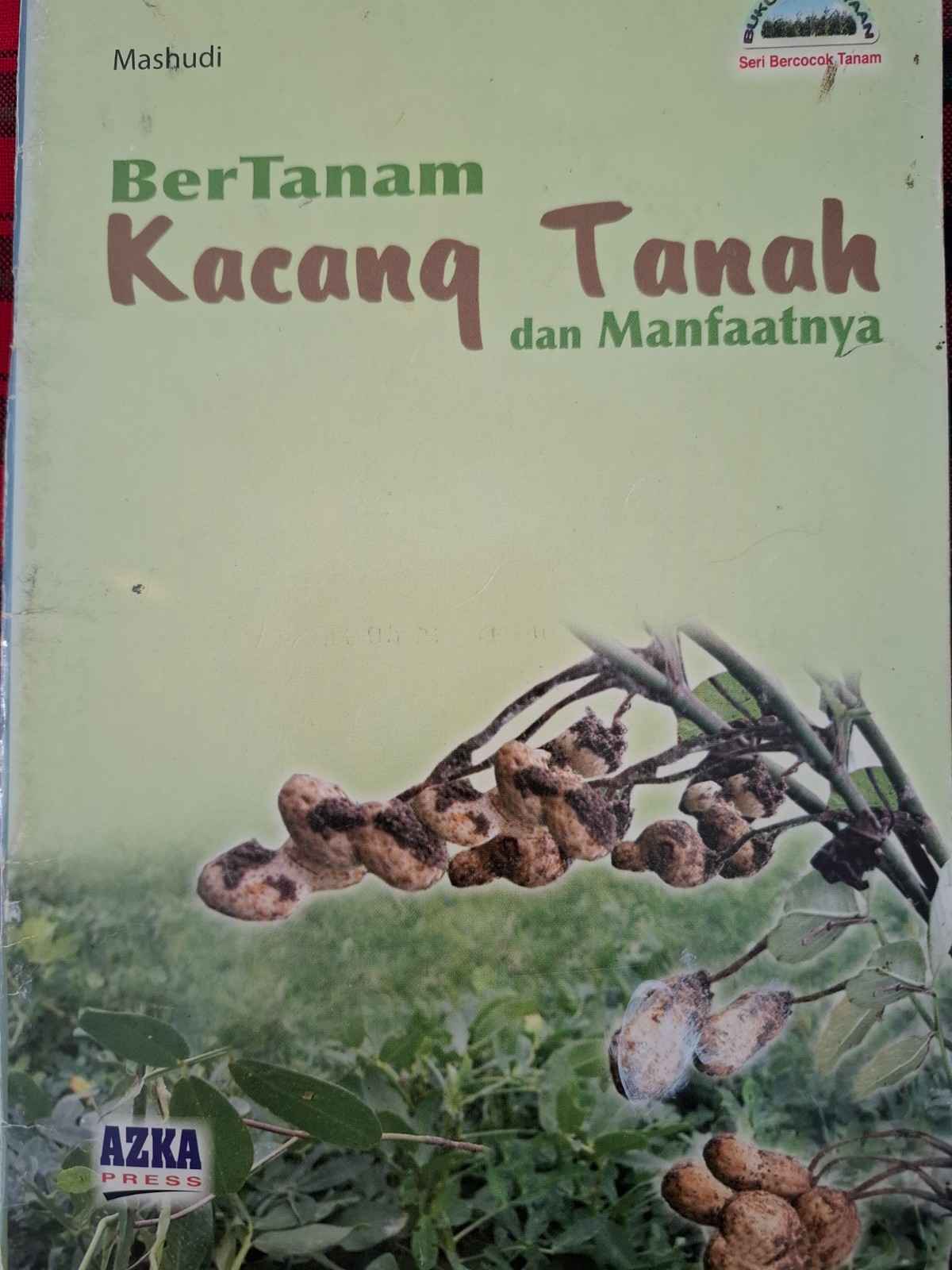 Sampul Bertanam Kacang Tanah dan Manfaatnya