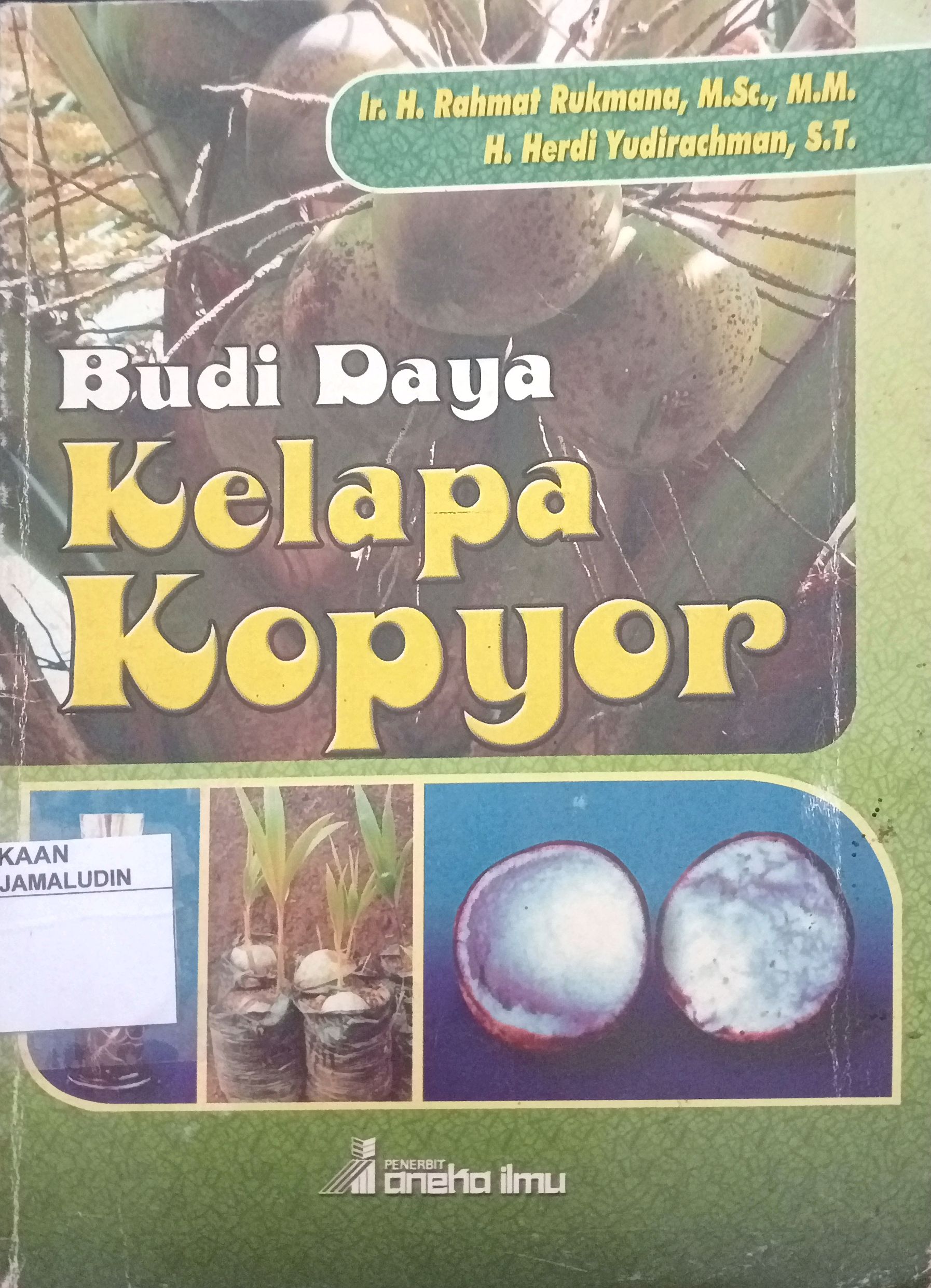 Sampul Budi Daya Kelapa Kopyor